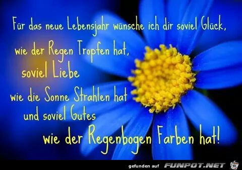 neues lebensjahr neues lebensjahr