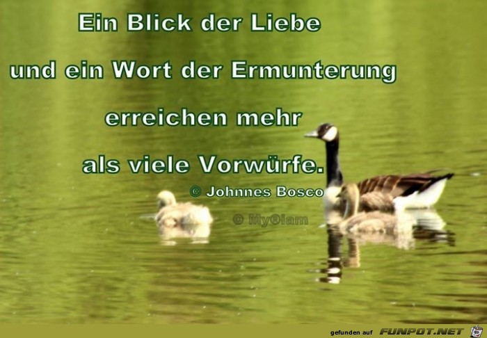 Blick der Liebe 