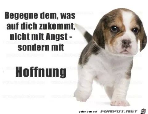 hoffnung