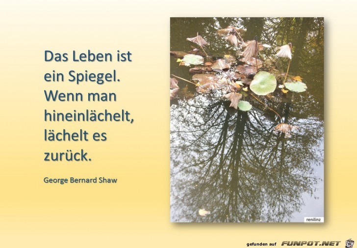 Das Leben ist