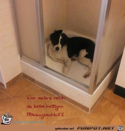 Dusche Dusche