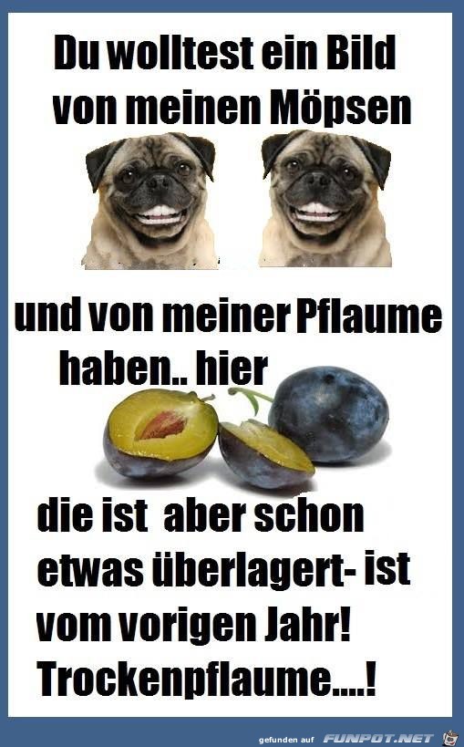 Du willst meine Moepse und Pflaume sehen Du willst meine Moepse und Pflaume sehen