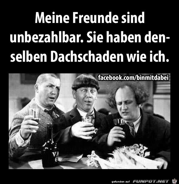 Meine Freunde Meine Freunde