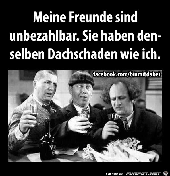 Meine Freunde