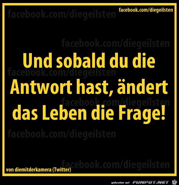 diegeilsten Antwort diegeilsten Antwort