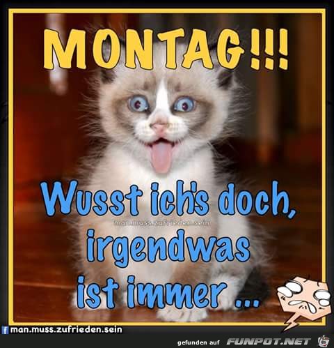 Montag 