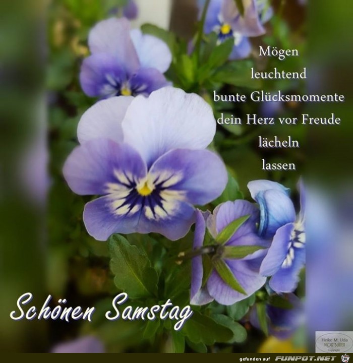 Glücksmomente Glücksmomente