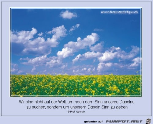 Sinn unseres daseins Sinn unseres daseins
