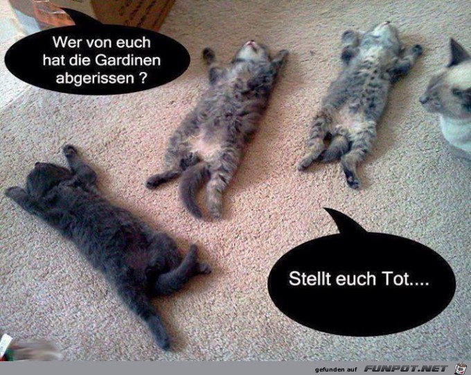 Tot Tot