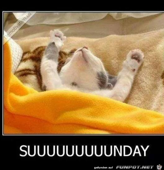 suuuuunday suuuuunday