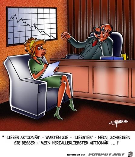 Aktionaer Aktionaer