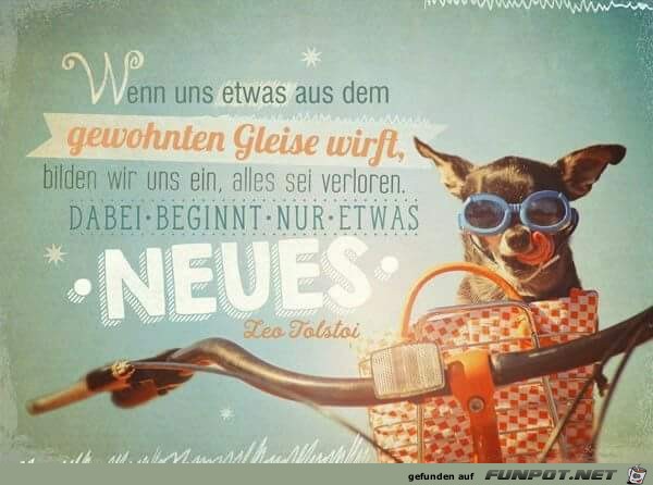 wenn uns etwas aus dem gewohnten Gleise wenn uns etwas aus dem gewohnten Gleise