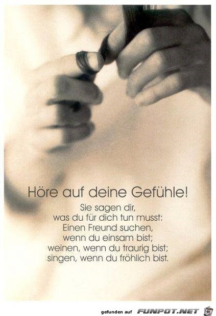 hoere auff deine Gefuehle