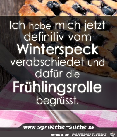 spruch-fruehlingsrolle spruch-fruehlingsrolle