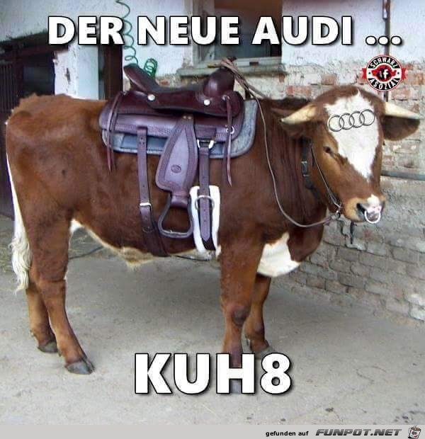 audi audi