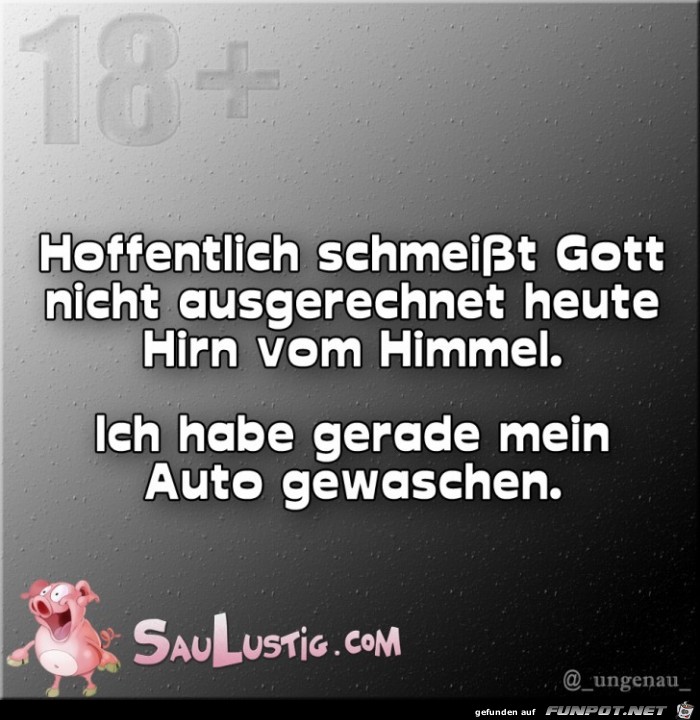 Hoffentliche-schmeisst-Gott