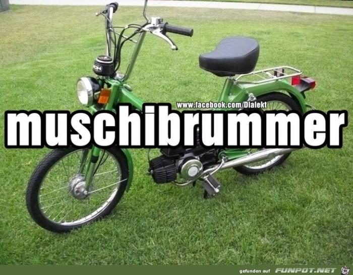 Muschibrummer