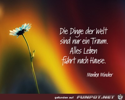 die-dinge die-dinge