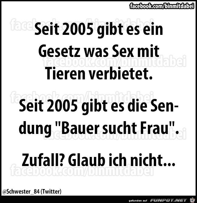 Zufall Zufall