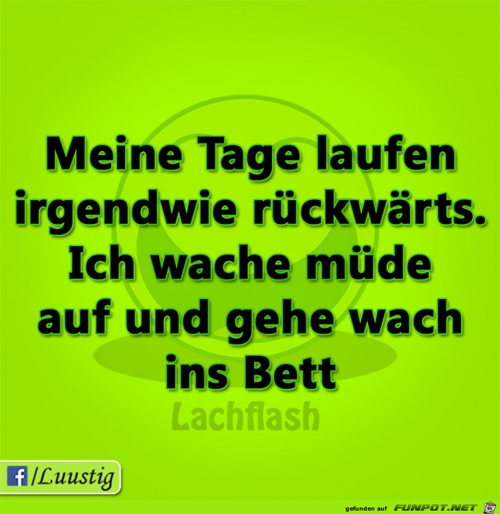 Meine Tage Meine Tage