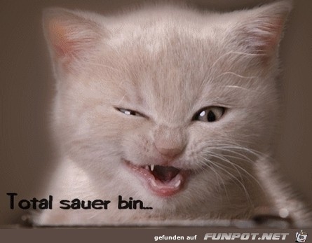Schon-wieder-Montag Schon-wieder-Montag