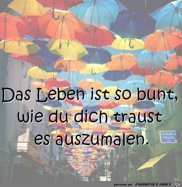 das Leben ist so bunt