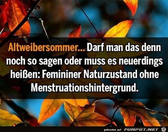 Altweibersommer Altweibersommer
