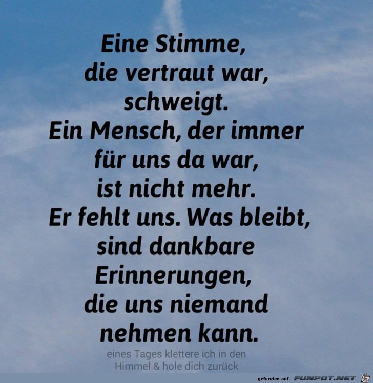 Eine Stimme