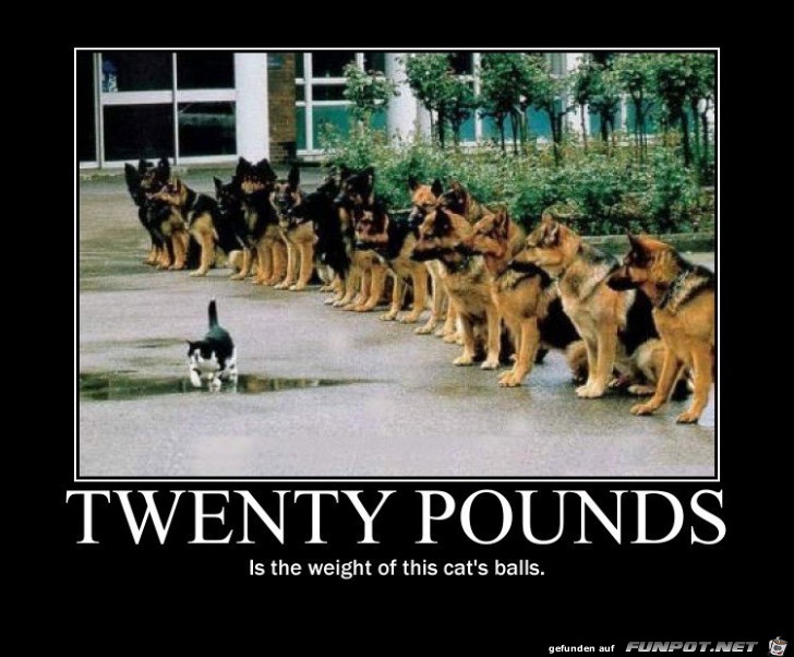 tmp 21940-funny-pictures-auto-547662903245073 tmp 21940-funny-pictures-auto-547662903245073