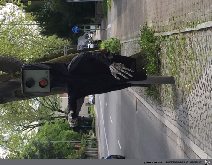 image1 image1