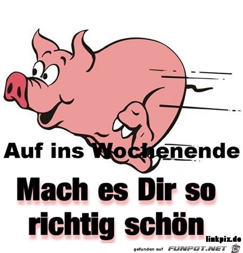 auf in we auf in we