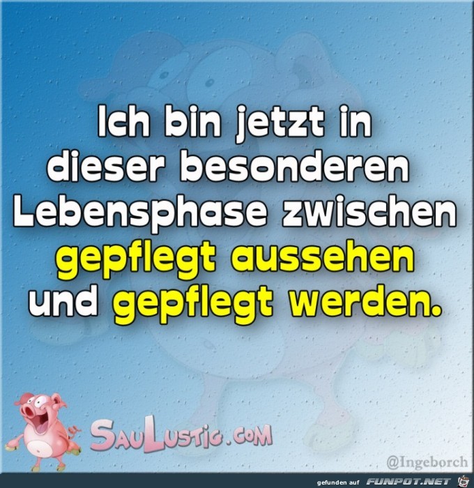 Lebensphase Lebensphase