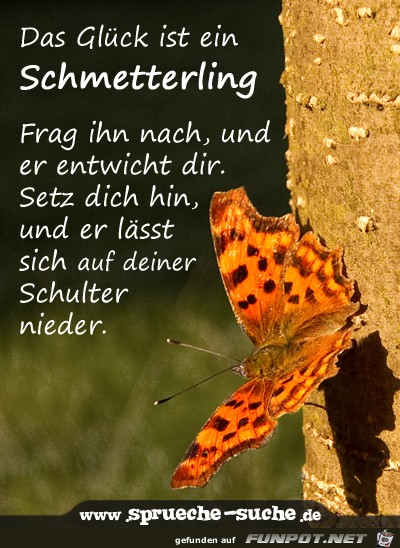 -glueck-das-glueck-ist-ein-schmetterling