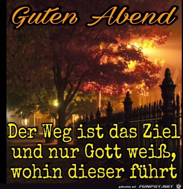ziel ziel
