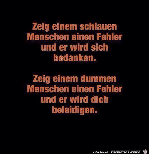 Zeig einem schlauen Menschen einen Fehler Zeig einem schlauen Menschen einen Fehler