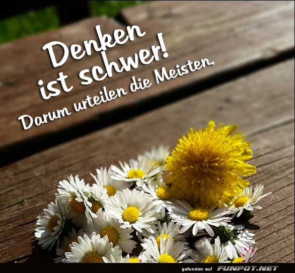 10 schne Sprche und Lebensweisheiten aus...