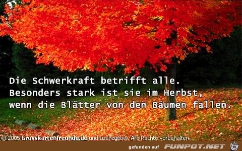 herbst41 herbst41