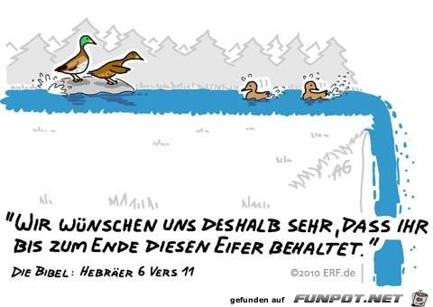 Hebraeer 6 11