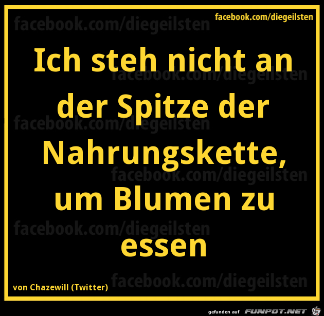 diegeilsten Nahrungskette diegeilsten Nahrungskette