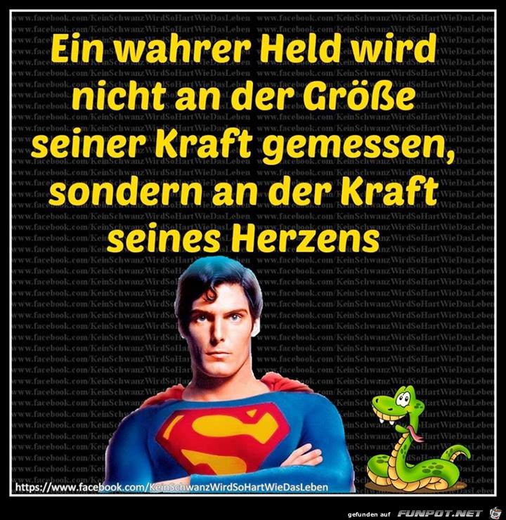 Ein wahrer Held