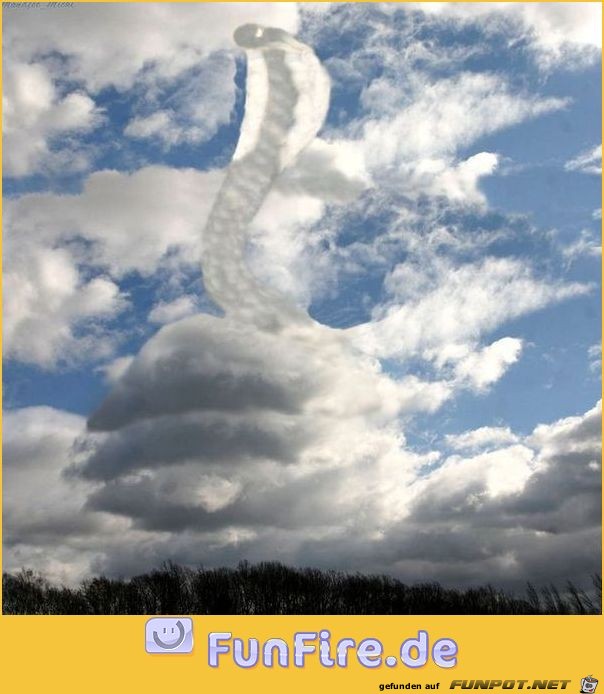 cobra-wolkenbild cobra-wolkenbild