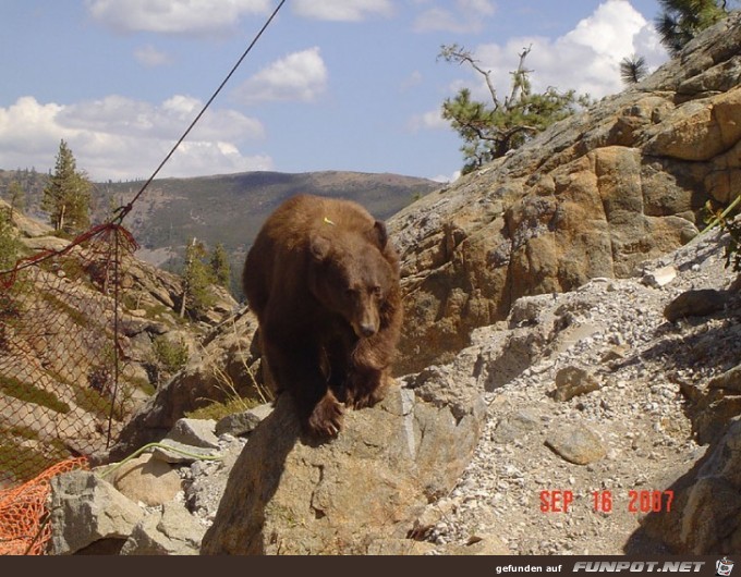 Diese Brcke ist auf der Old Donner