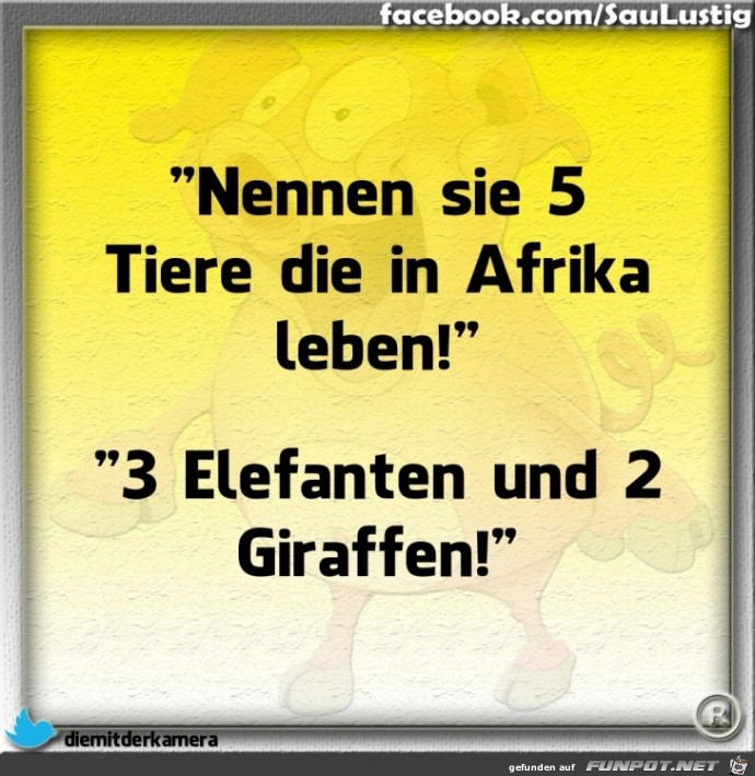  Nennen Sie 5 Tiere