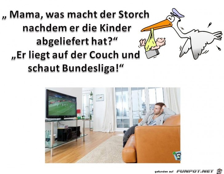 Der Storch liegt auf der Couch