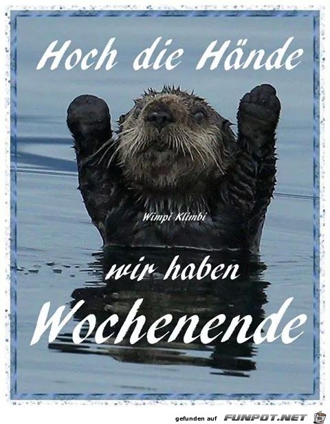 Wochenende 7 Wochenende 7