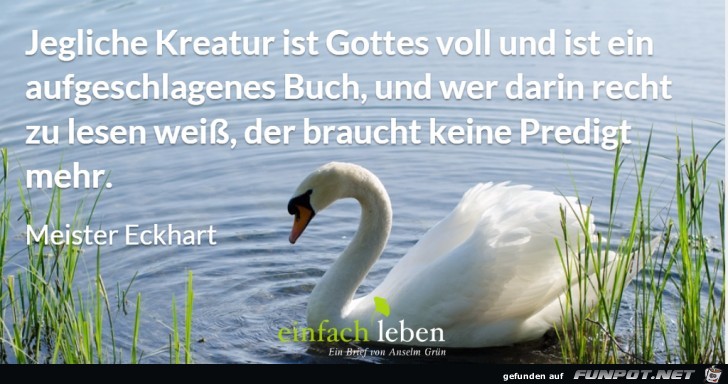 Kreatur Kreatur