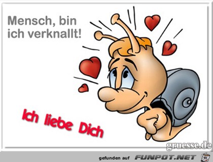 Mensch Mensch