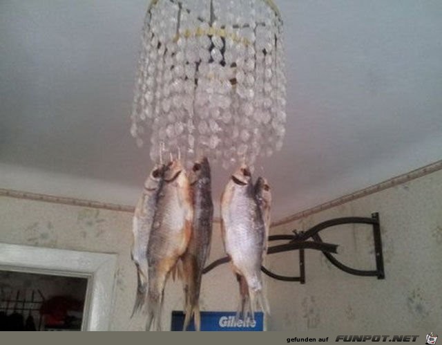 In-Soviet-Russia-the-fish-lights-you