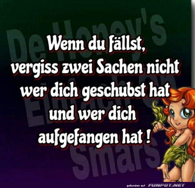 geschubst geschubst