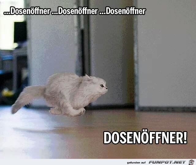 Dosenffner